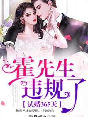 试婚365天:霍先生,违规了!